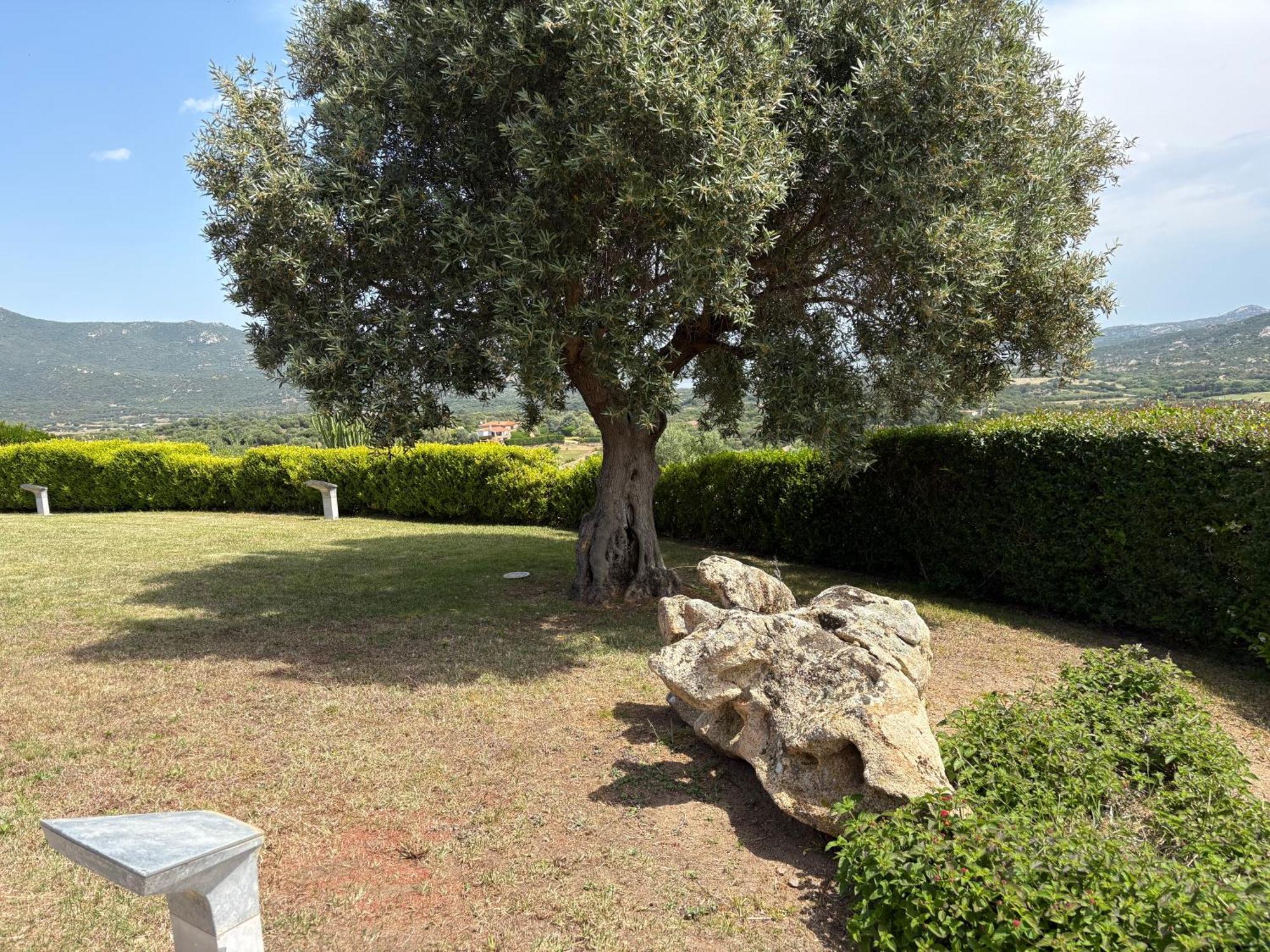 Villa Cugnana Olbia